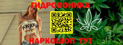 прущие крисы Аргун