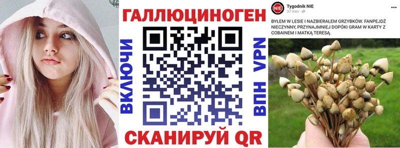 Псилоцибиновые грибы Cubensis  Зерноград 