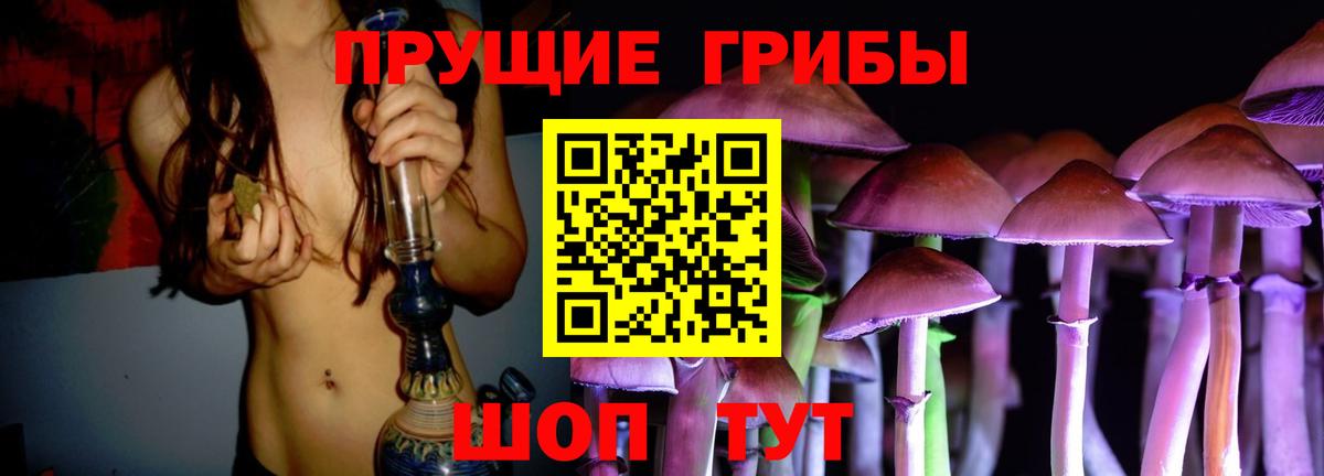Зерноград  Псилоцибиновые грибы мицелий  Вход с VPN 